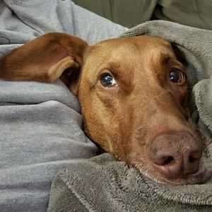 Meet your Posher, Tricia